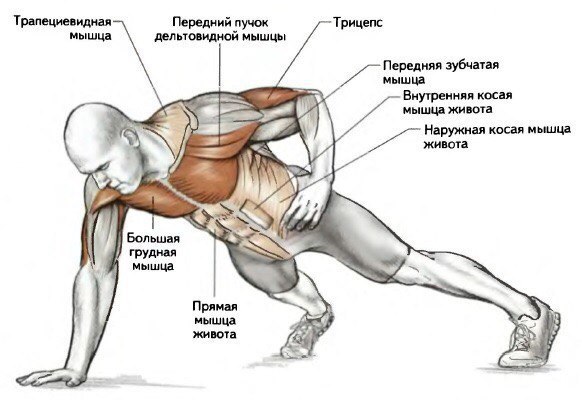 foto_1