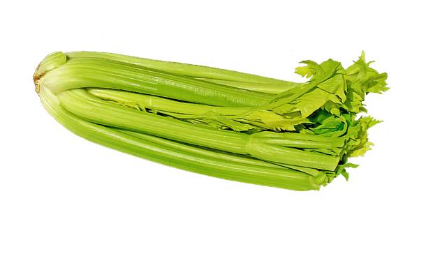 celery-692867_640