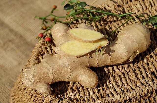 ginger-1738098_640